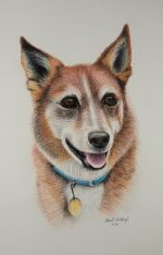 Pet Portraits in Color Pencil