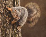 Backyard Visitor. Illustration of a portrait of a squirrel visiting my tree.
