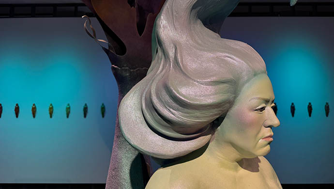 Cameron Stalheim 690×390
